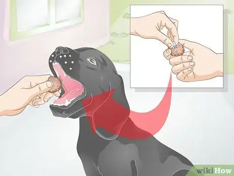 Imagen titulada Groom a Difficult Dog Step 3