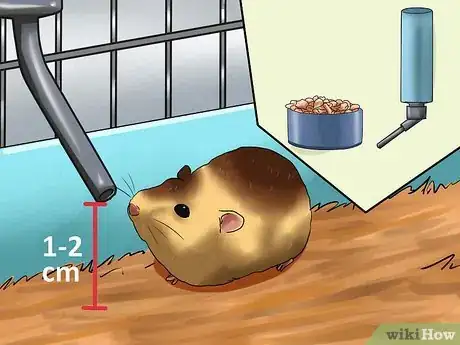 Imagen titulada Care for Newborn Hamsters Step 9