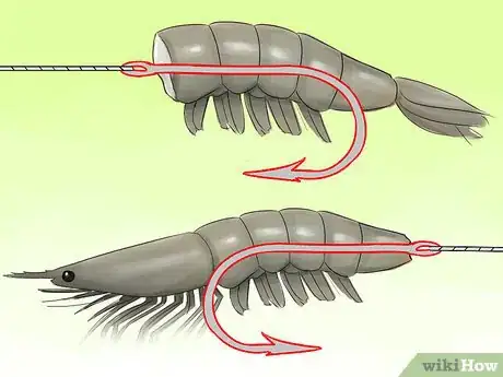 Imagen titulada Hook a Shrimp Step 6