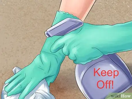 Imagen titulada Get Rid of Dog Urine Smell Step 14