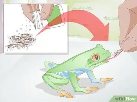 Imagen titulada Care for a Red Eyed Tree Frog Step 1