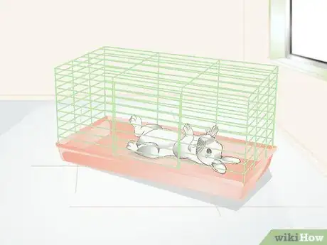 Imagen titulada Keep Rabbit Bottles from Freezing Step 9