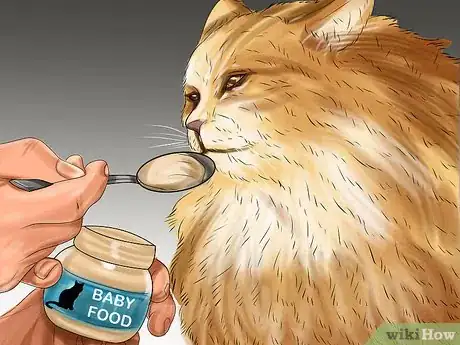 Imagen titulada Encourage Your Cat to Eat Step 9