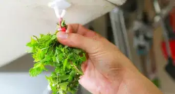 hacer té de menta