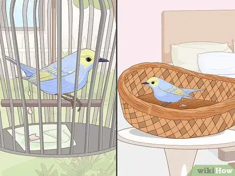 Imagen titulada Train Your Bird Step 12