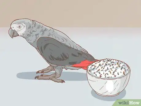 Imagen titulada Treat Respiratory Infections in African Grey Parrots Step 2