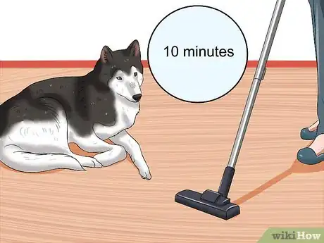 Imagen titulada Desensitize Your Dog Step 10