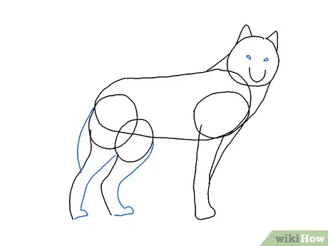 Imagen titulada Draw a Wolf Step 5