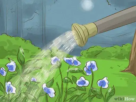 Imagen titulada Get Rid of Garden Snails Step 12