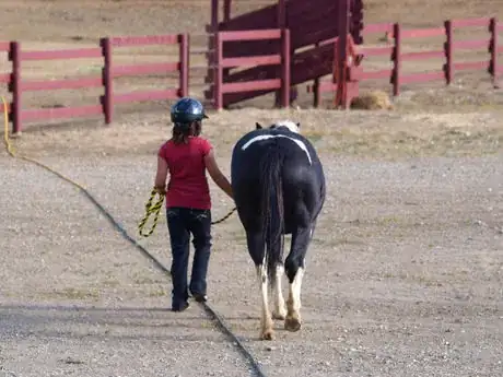 Imagen titulada After the riding lesson... 2