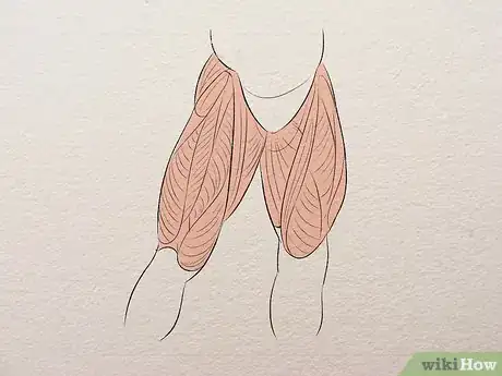 Imagen titulada Learn Anatomy for Drawing Step 7