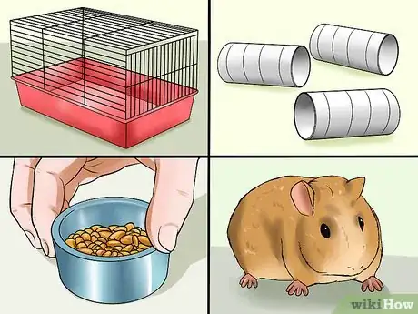 Imagen titulada Convince Your Parents to Buy You a Guinea Pig Step 7