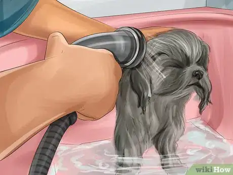 Imagen titulada Puppy Cut a Shih Tzu Step 3