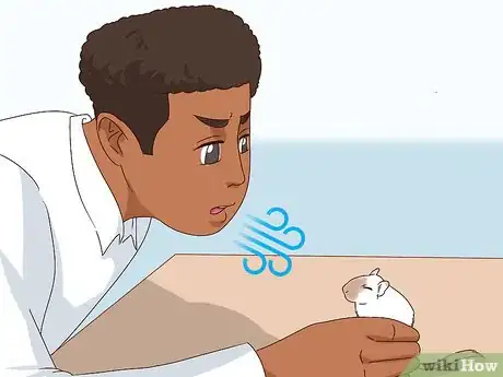 Imagen titulada React when Your Gerbil Bites or Scratches Step 1