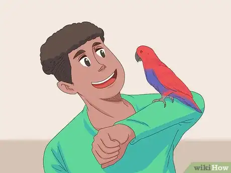 Imagen titulada Know if an Eclectus Is Right for You Step 1