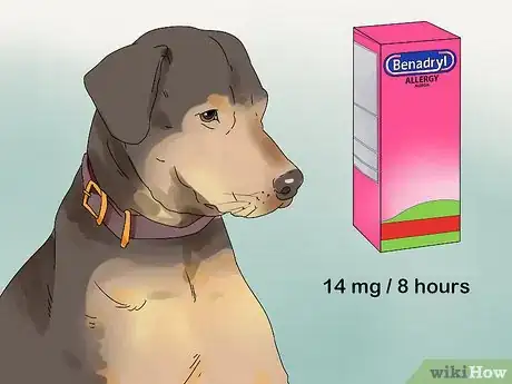 Imagen titulada Give a Dog Benadryl Step 1