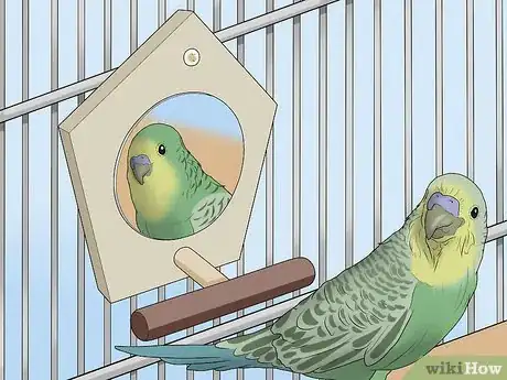 Imagen titulada Amuse Your Parakeet or Other Bird Step 3