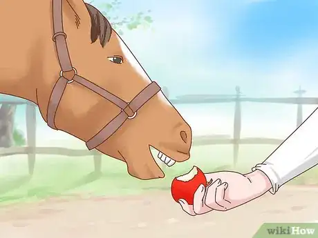 Imagen titulada Take Care of Your Horse Step 18