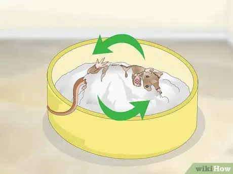 Imagen titulada Give a Gerbil a Sand Bath Step 6