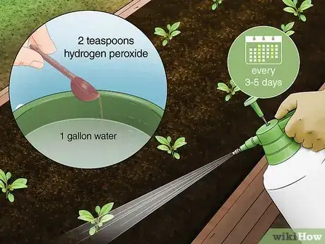 Imagen titulada Use Hydrogen Peroxide in the Garden Step 6