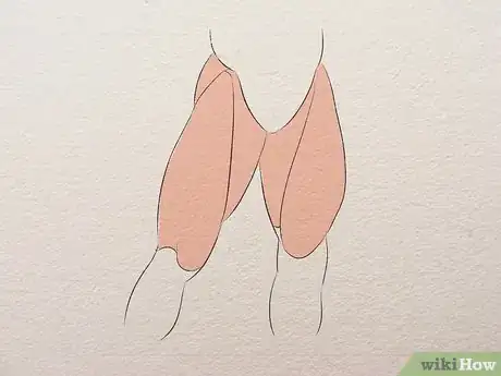 Imagen titulada Learn Anatomy for Drawing Step 6