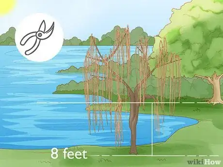 Imagen titulada Plant Weeping Willow Trees Step 12