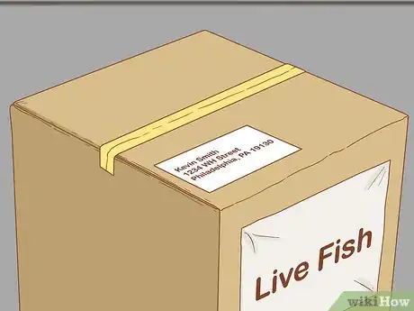 Imagen titulada Bag and Ship Live Fish Step 11