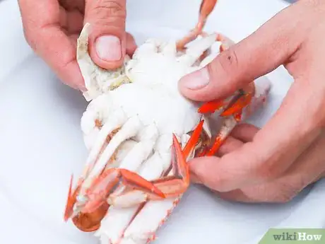 Imagen titulada Boil Crab Step 11