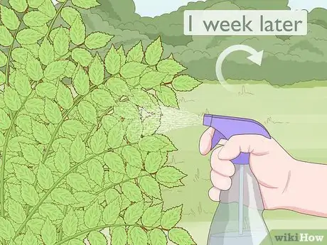 Imagen titulada Get Rid of Poison Ivy Plants Step 10