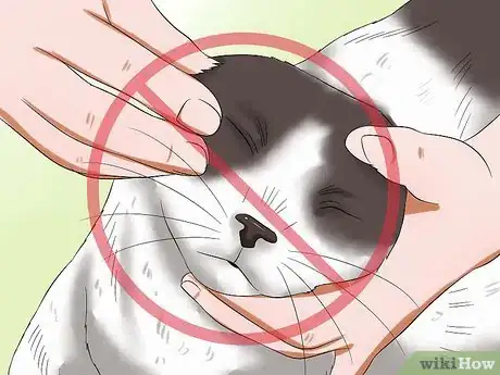 Imagen titulada Give Your Cat Eye Drops Step 9