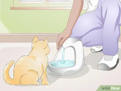 Imagen titulada Train Your Cat to Use a Pet Fountain Step 3