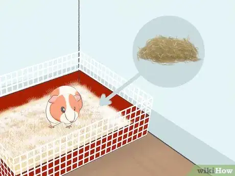 Imagen titulada Reduce Guinea Pig Allergy Step 12