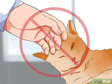 Imagen titulada Prevent Cat Allergies Step 8