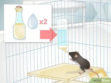 Imagen titulada Clean a Rat's Cage Step 14