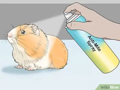 Imagen titulada Get Rid of Mites on Hamsters Step 13