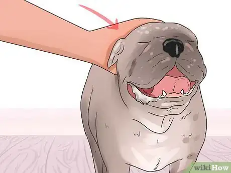 Imagen titulada Save a Choking Dog Step 10