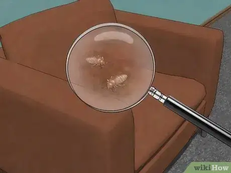 Imagen titulada Stop Bed Bug Bites Immediately Step 24