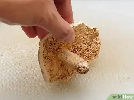 Imagen titulada Cut Mushrooms Step 4