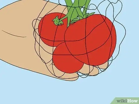 Imagen titulada Support Tomato Plants in Pots Step 13