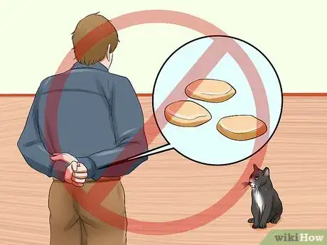 Imagen titulada Train Your Cat to Come to You Step 13