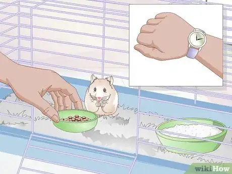 Imagen titulada Wake up Your Hamster Without Scaring It Step 13