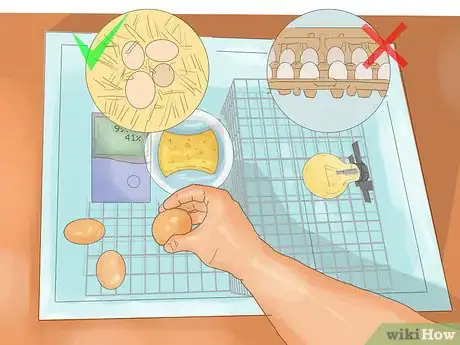 Imagen titulada Make a Simple Homemade Incubator for Chicks Step 7