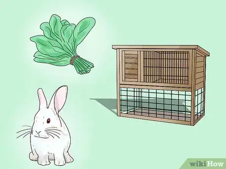 Imagen titulada Teach Your Rabbit to Come when Called Step 1