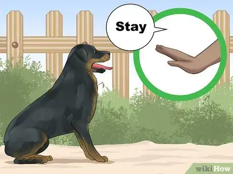 Imagen titulada Train a Rottweiler to Be a Guard Dog Step 3