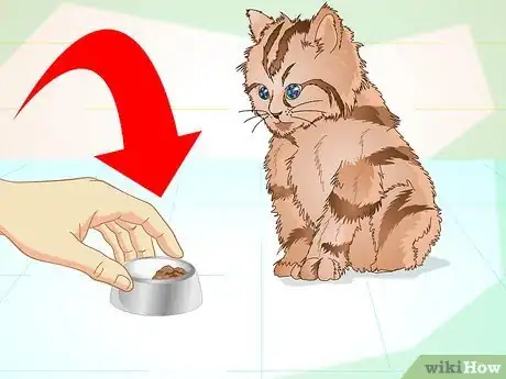 Imagen titulada Get a Sick Kitten to Eat Step 1