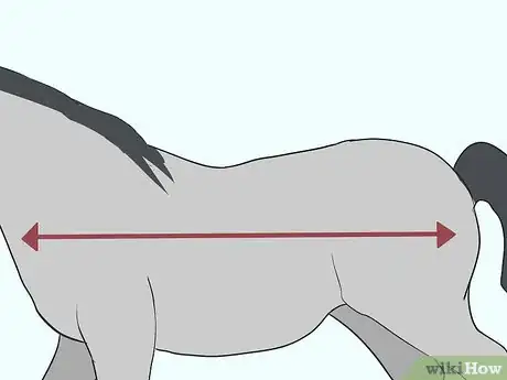 Imagen titulada Make a Horse Blanket Step 1