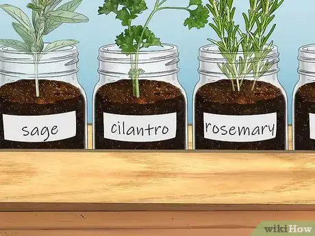 Imagen titulada Build a Mason Jar Herb Garden Step 8