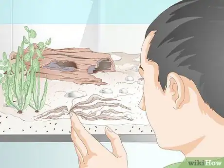 Imagen titulada Lower Ammonia Levels in a Fish Tank if They Are Not Very High Step 9