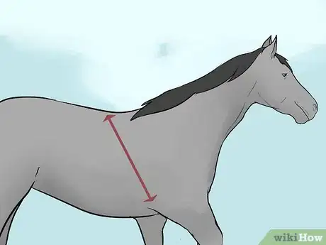 Imagen titulada Make a Horse Blanket Step 2