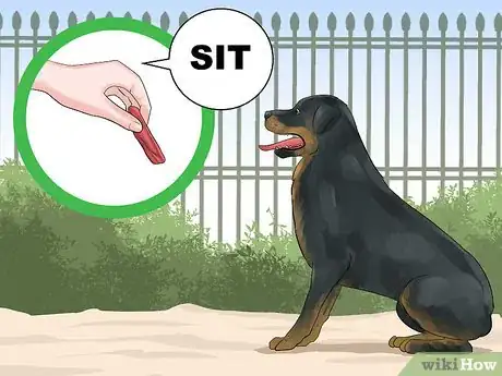 Imagen titulada Train a Rottweiler to Be a Guard Dog Step 1